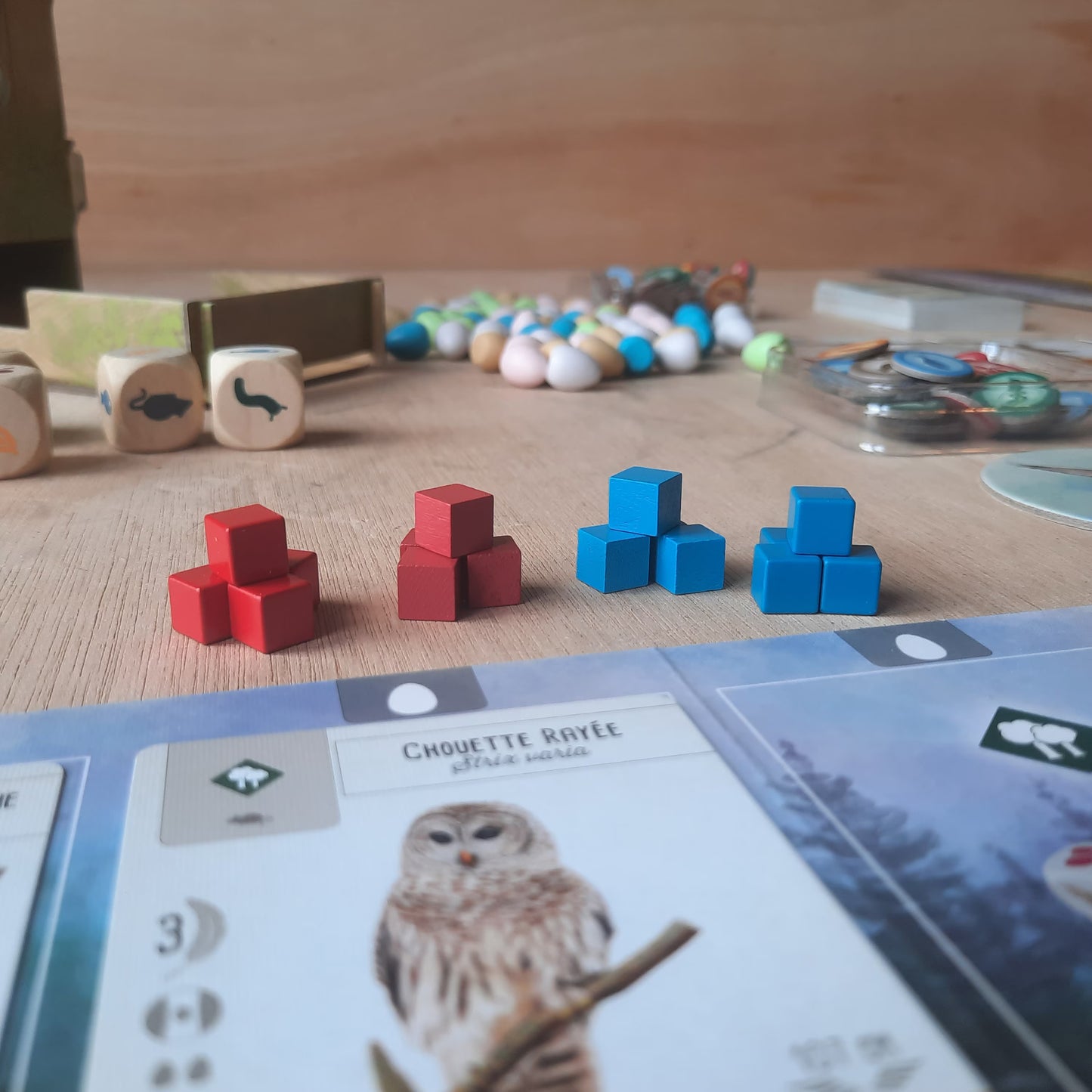 Set of 40 metal cubes for Wingspan, 8mm