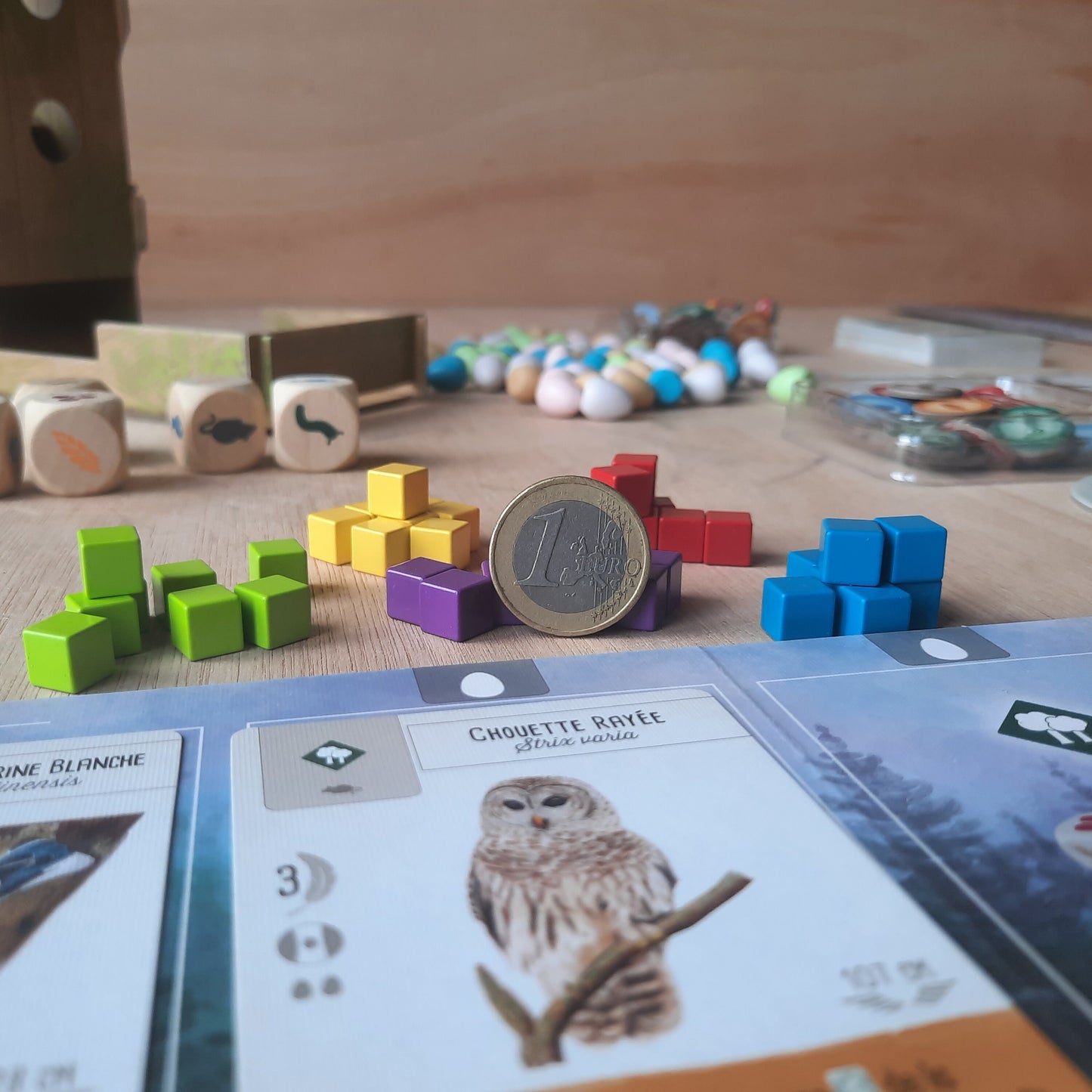 Set of 40 metal cubes for Wingspan, 8mm