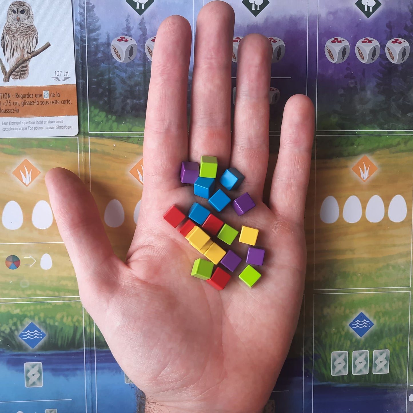 Set of 40 metal cubes for Wingspan, 8mm