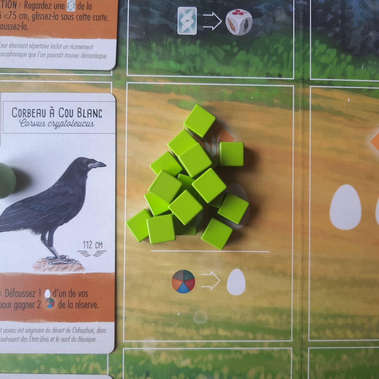 Set of 40 metal cubes for Wingspan, 8mm